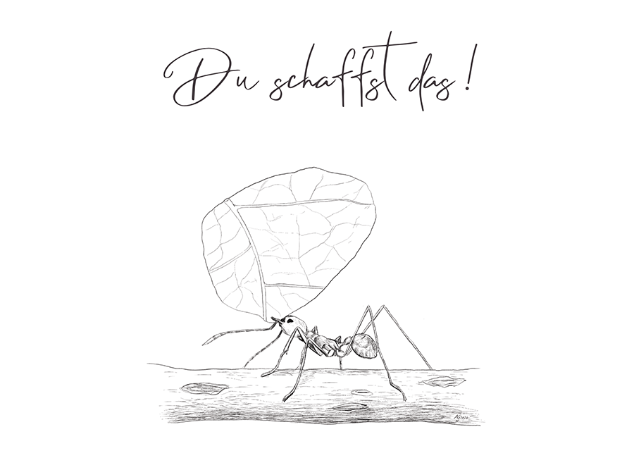 AMEISE DU SCHAFFST DAS