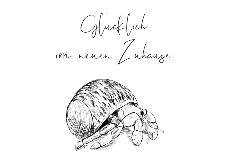 EINSIEDLERKREBS NEUES ZUHAUSE