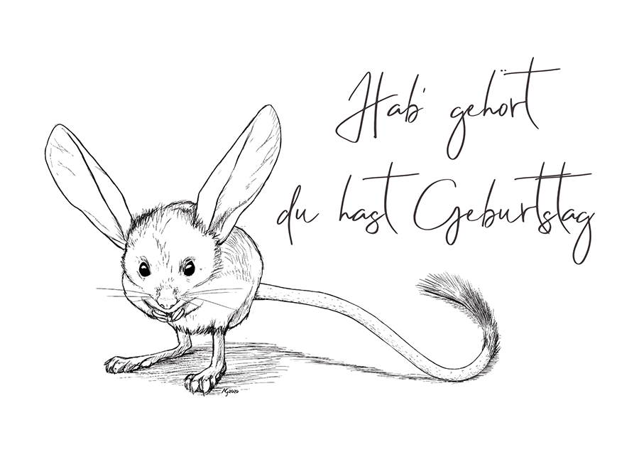 JERBOA / SPRINGMAUS GEBURTSTAG