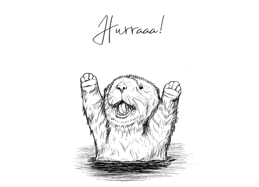 OTTER HURRA